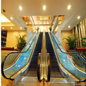 Escalator intérieur résidentiel électrique en acier inoxydable Prix